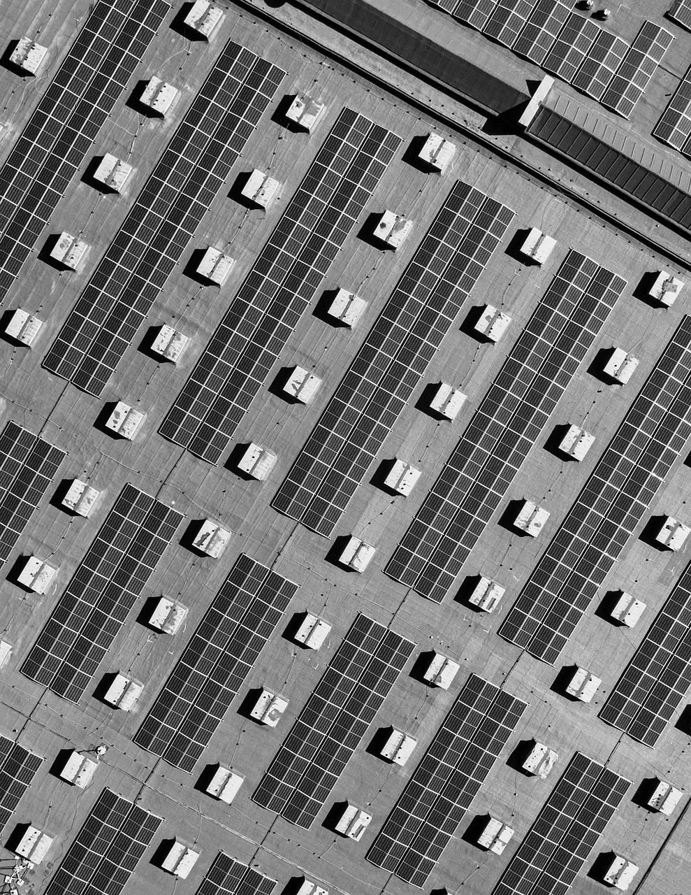 Granja solar en el campo